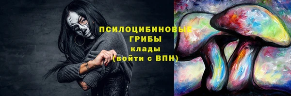 сатива Алзамай