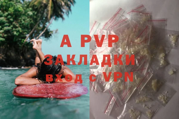 сатива Алзамай