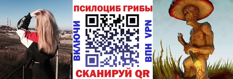 Псилоцибиновые грибы Psilocybine cubensis  Петрозаводск 